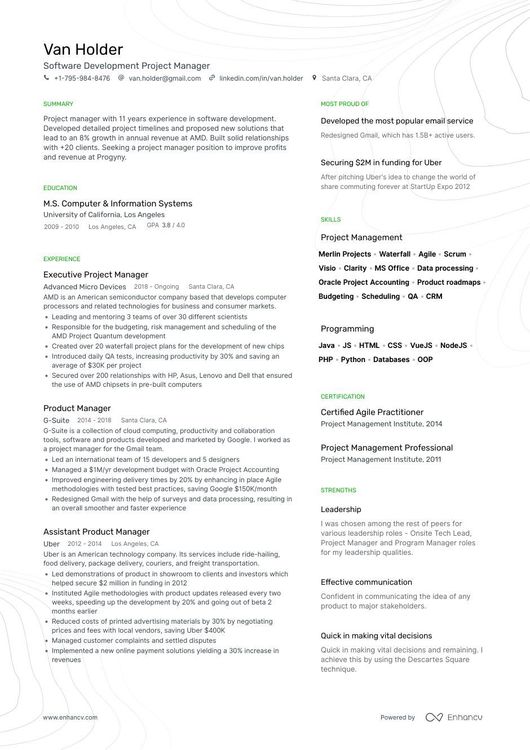 4 Job-Winning Project Manager Resume Examples In 2022 (Layout, Skills,  Keywords & Job Description)